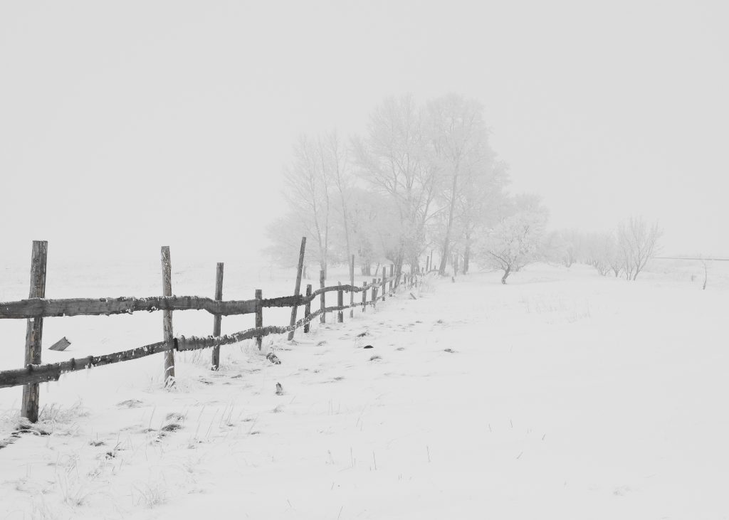 snowy path e1635875406122