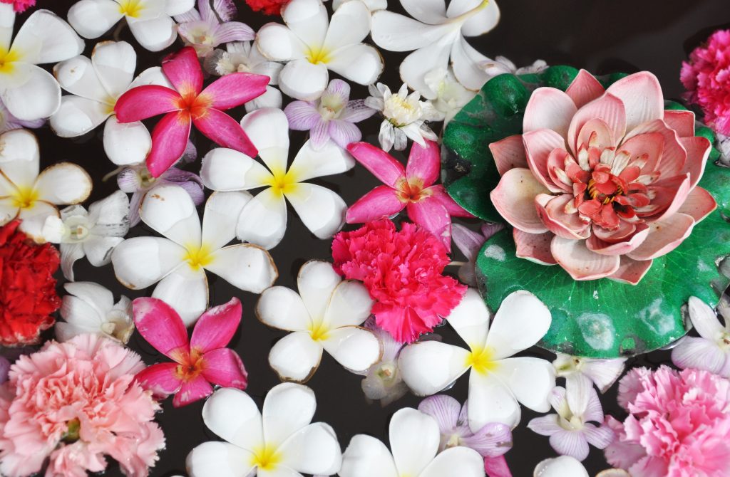 flowers spa seoul e1615213679701