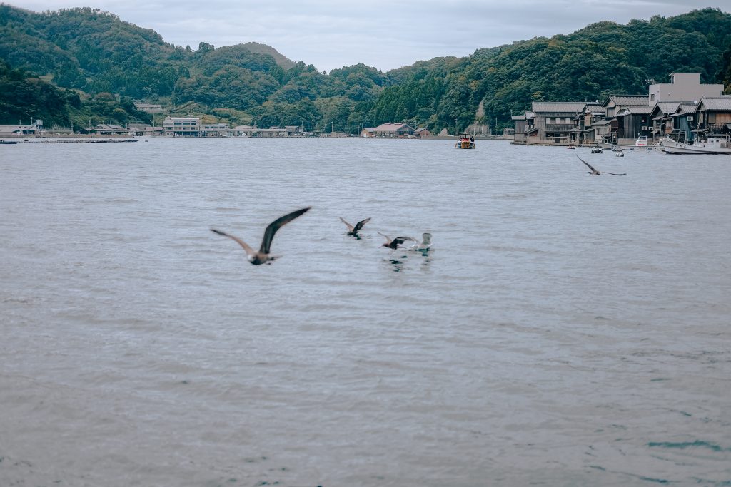 Ine Kyoto Sea