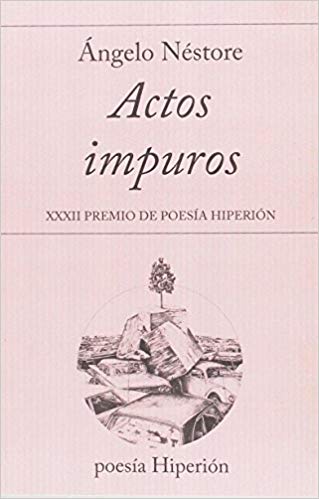angelo nestore poetry