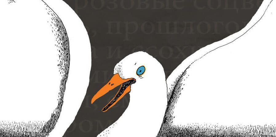 Goose Fritz 1
