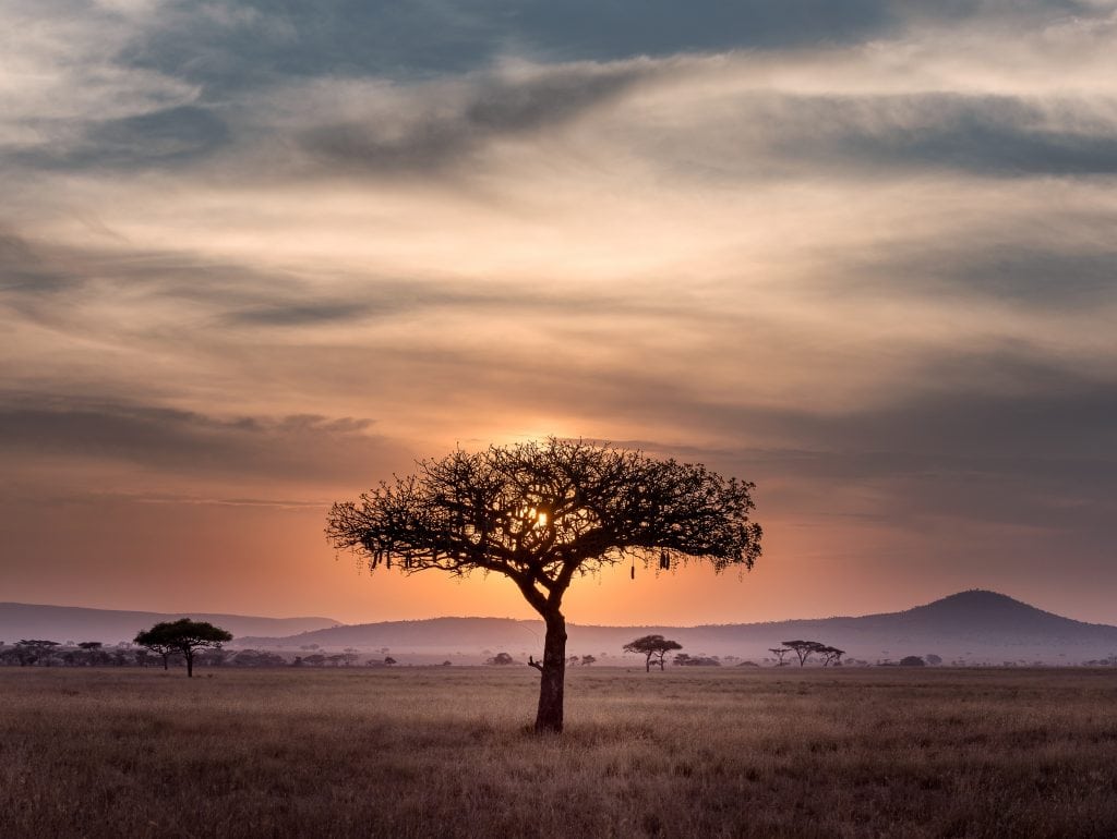 hu chen 515134 unsplash scaled e1635860490681