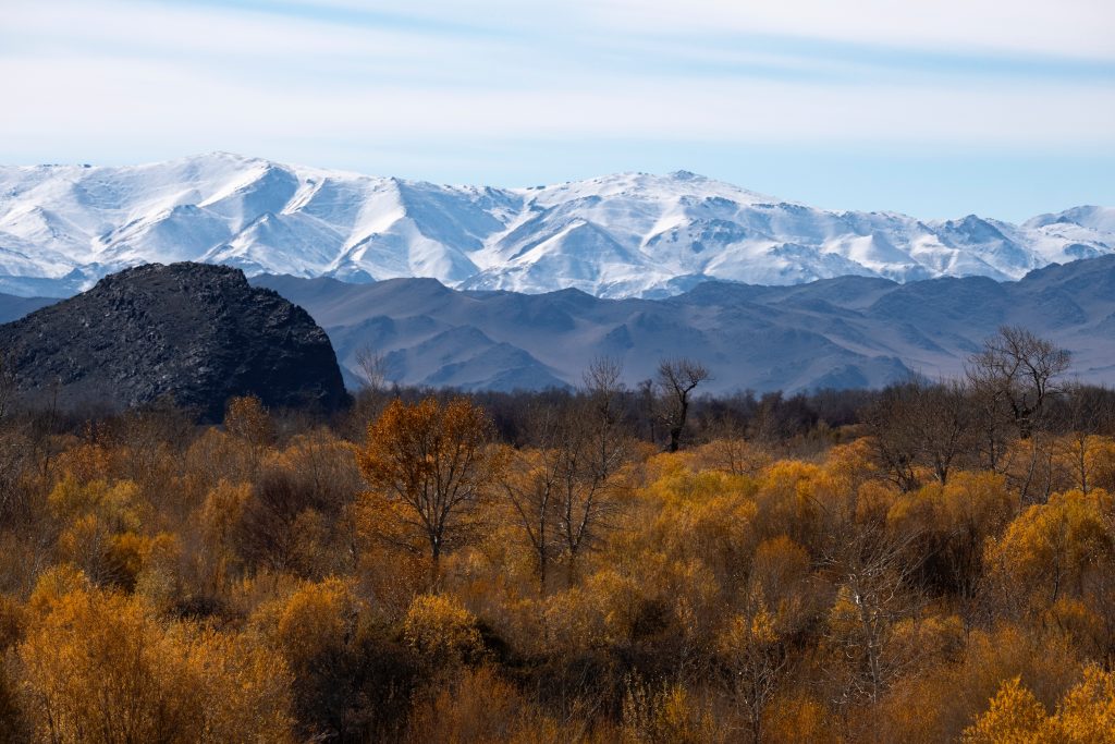 Mongolian Steppes