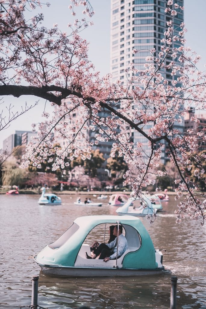 banter snaps iHU3ic36yeY unsplash scaled e1619031865841