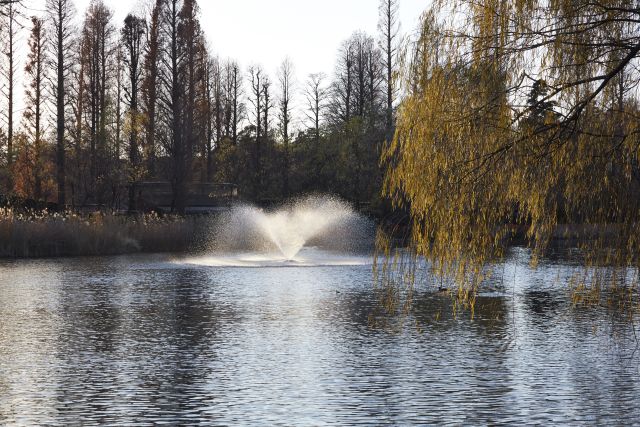 Imperial Palace in Tokyo to Enjoy Japan's Changing Seasons