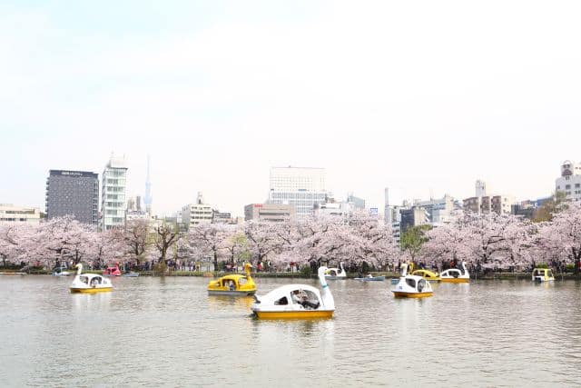 Imperial Palace in Tokyo to Enjoy Japan's Changing Seasons