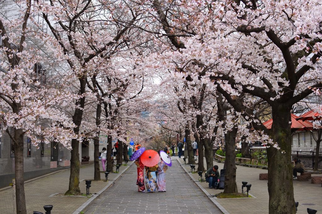hanami