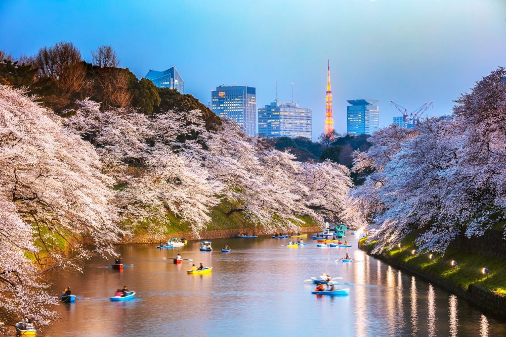 Tokyo best places japan e1614273334978