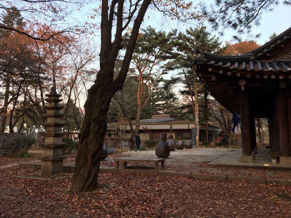 nami island view