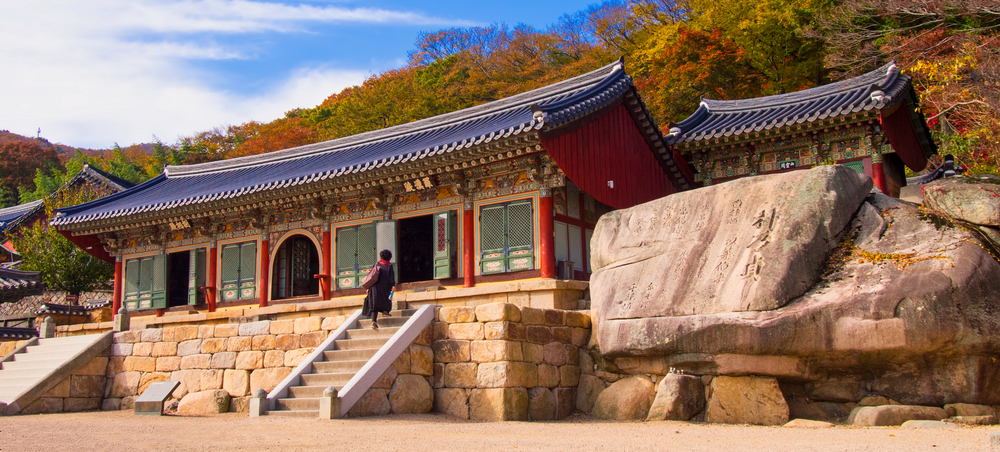 health and wellness south korea
