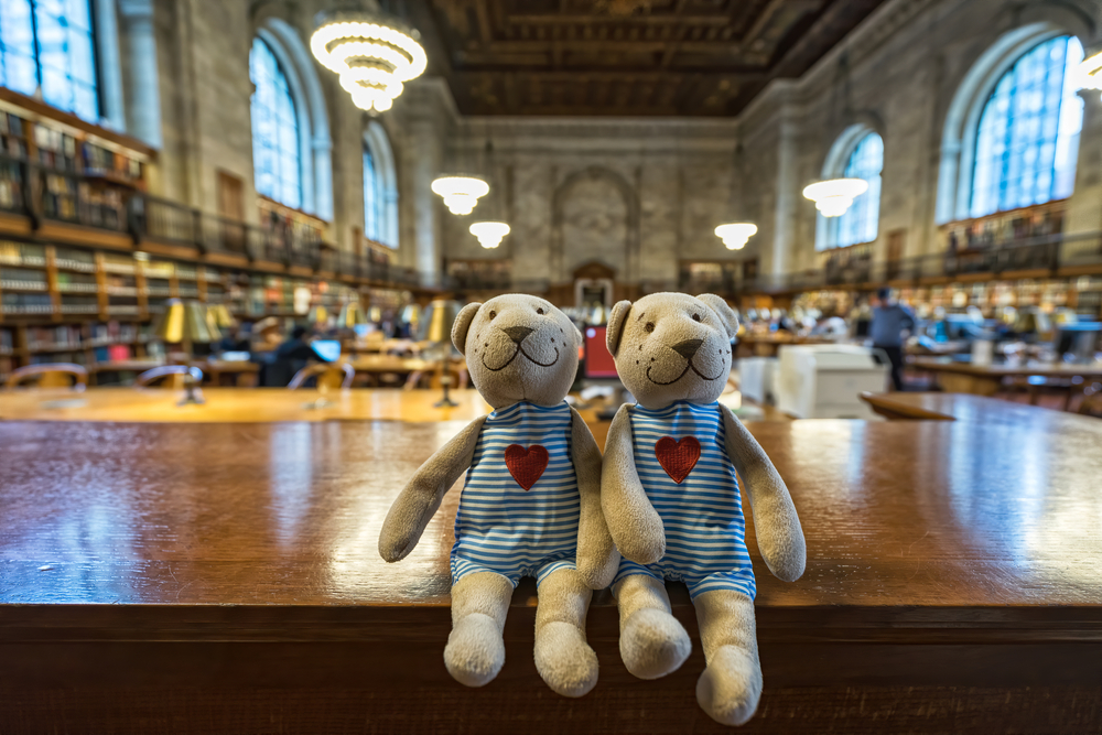 diverse bookstores new york city