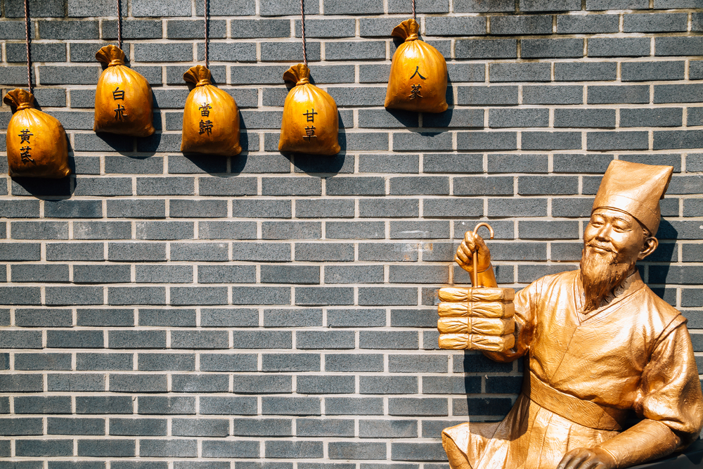 Oriental medicine sculpture at Namseong-ro Yangnyeongsi old historical street - daegu