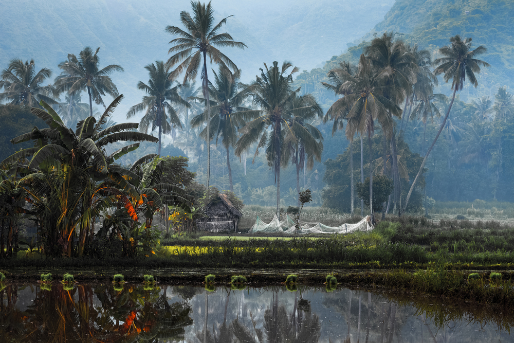 unique things to do in Bali